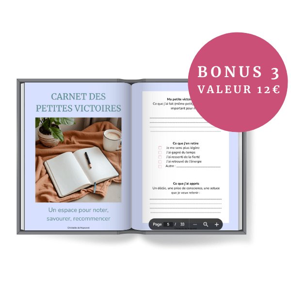 carnet des petites victoires