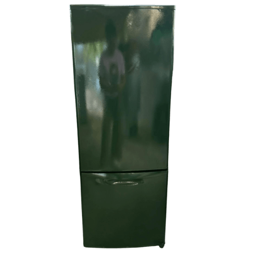 Panasonic Teal Green 7 cu ft Bottom Freezer refrigerator