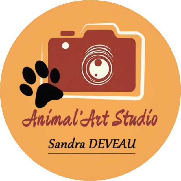 Animal'Art Studio