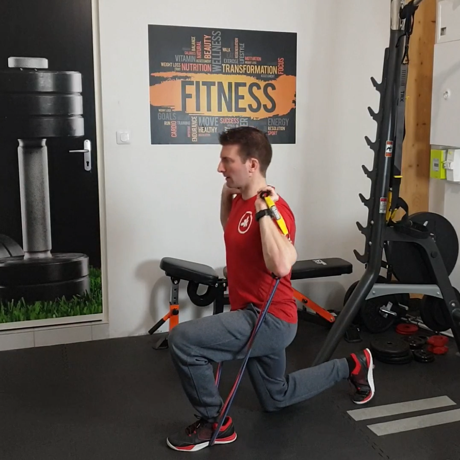 biceps avec élastiques
