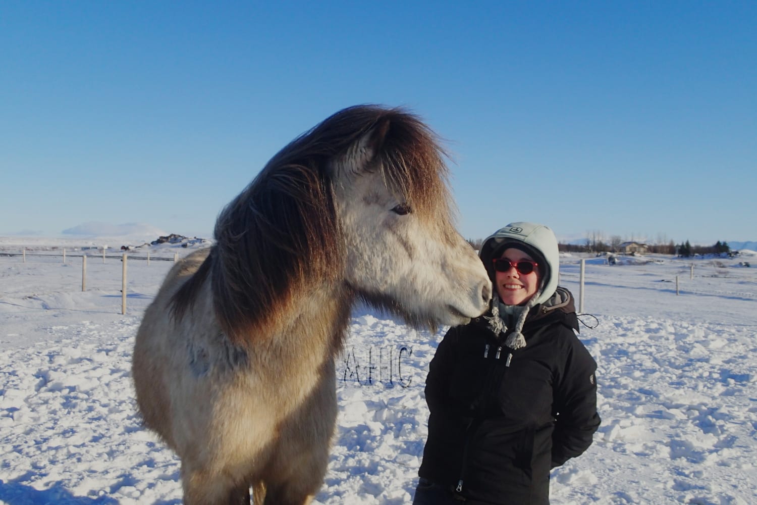 A radiant smile, a warm breath, a serene interaction, a horse and its human in peaceful proximity.