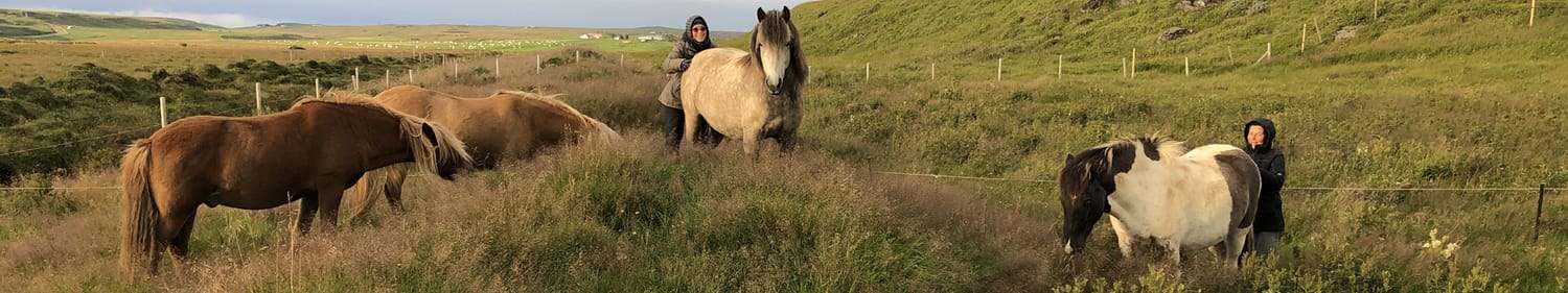 Toward the blog. In the pasture, Aurore, Béatrice, and four horses share a moment of relaxation, cuddles, and connection.
