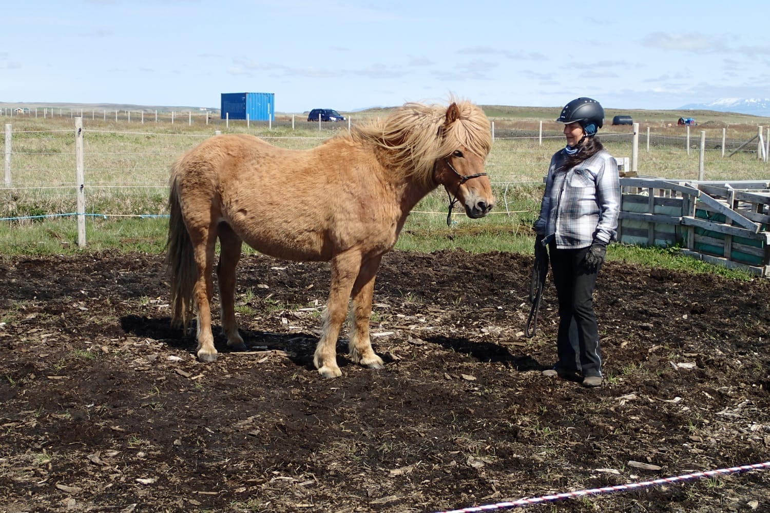 During a training session, a woman quietly watches her horse. The lunge line is in her hand, unattached to the horse. They work freely, in partnership. 