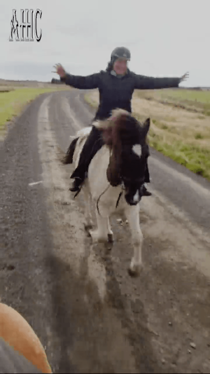 Un cavalier les bras en l'air décontracté en toute confiance avec sa monture. Le cheval est au galop à l'aise avec son cavalier. Un duo en harmonie.