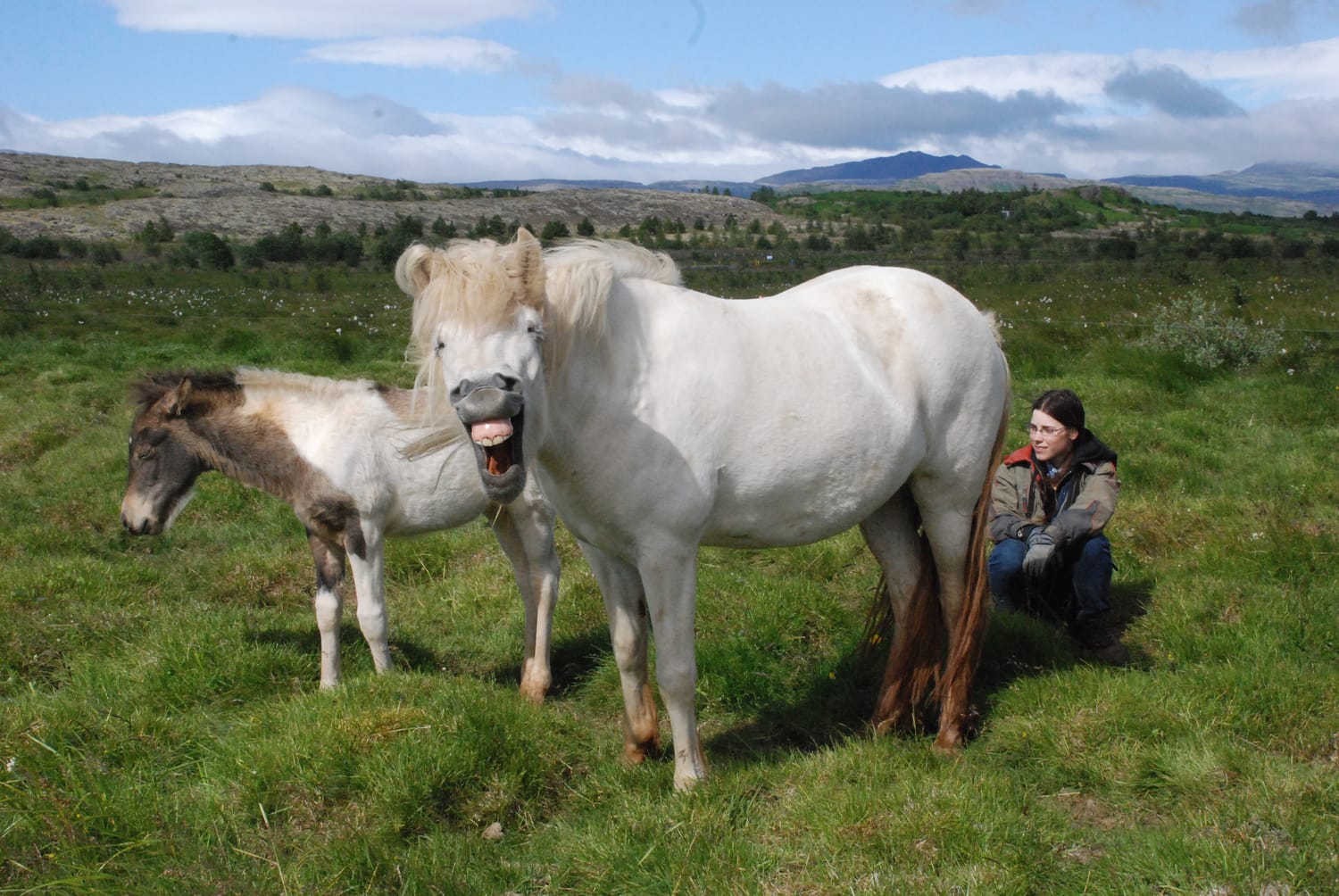 request for interaction without constraint, a filly and her guardian join Aurore for a moment of human-horse well-being.