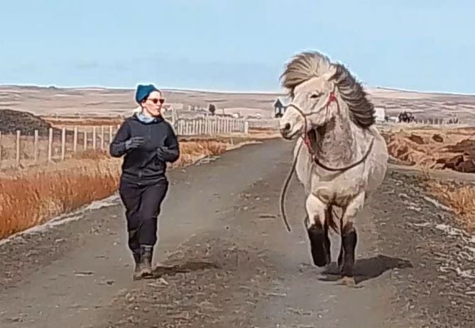 Human-horse relationship: A woman and an Icelandic horse run freely and in rhythm on a dirt road, illustrating a deep connection.
