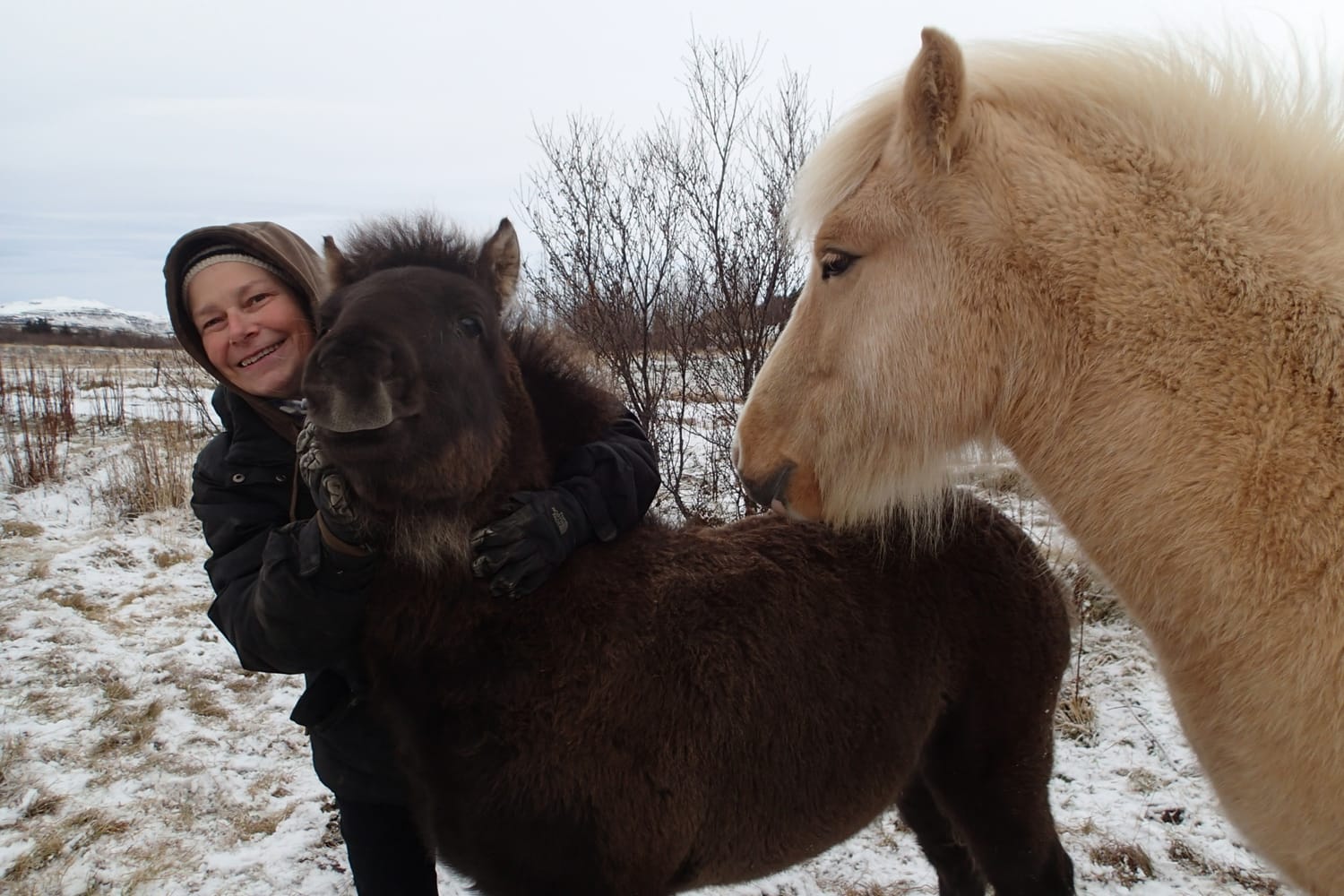 Béatrice embraces a foal without constraint, with respect and safety, under the protective and benevolent gaze of its guardian.