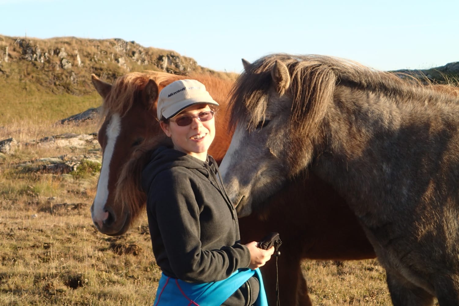 A serene relationship in the Icelandic pasture between Aurore and two young mares, in mutual understanding and safety.