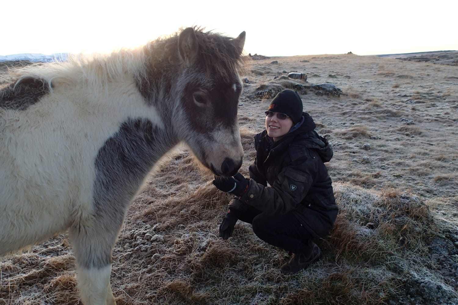 Aurore crouched in the reddish grass allows a young filly to build trust, connection, and complicity at her own pace.