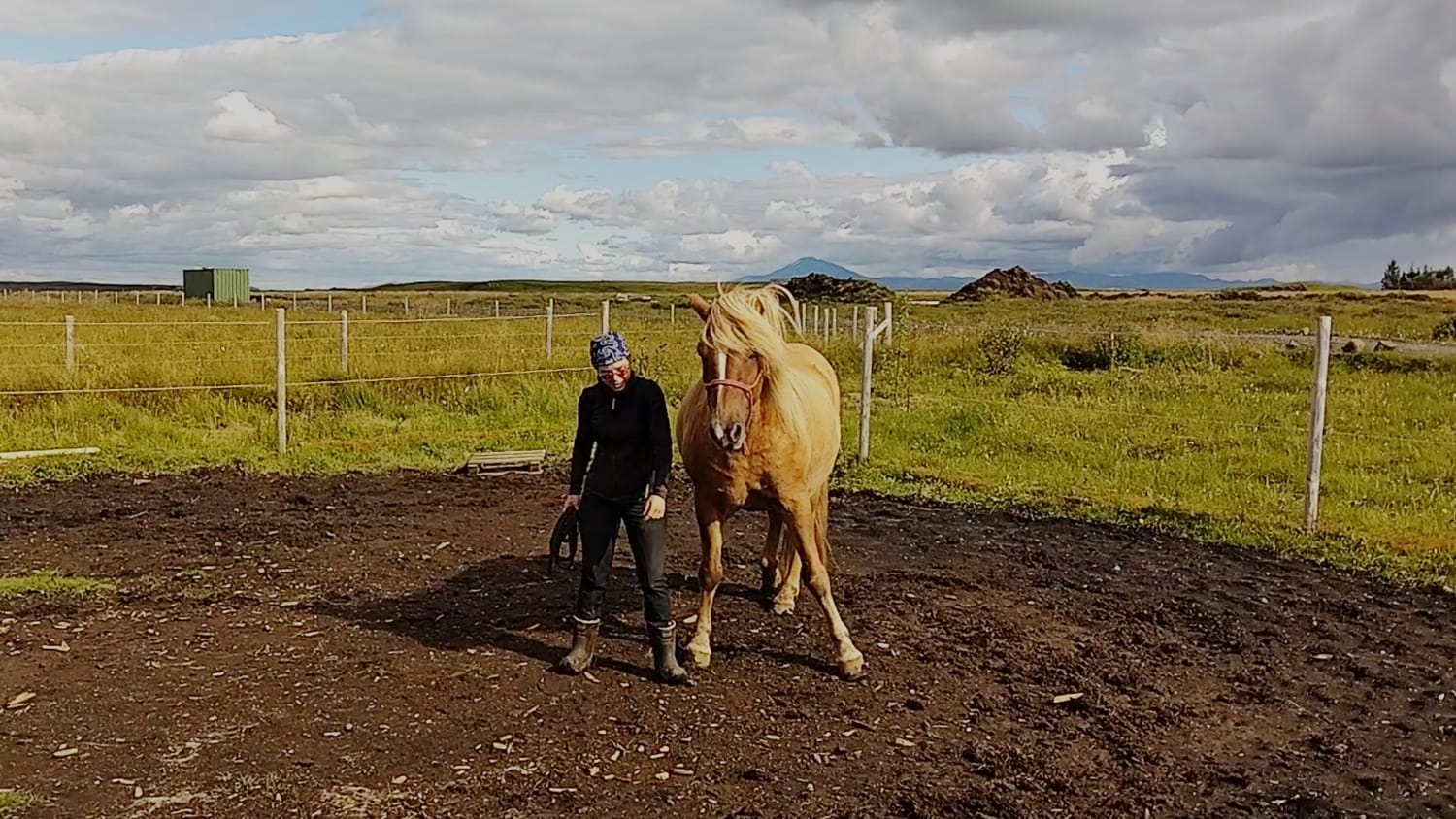 A young woman and her horse move in synchronized, confident harmony under the Icelandic sky.