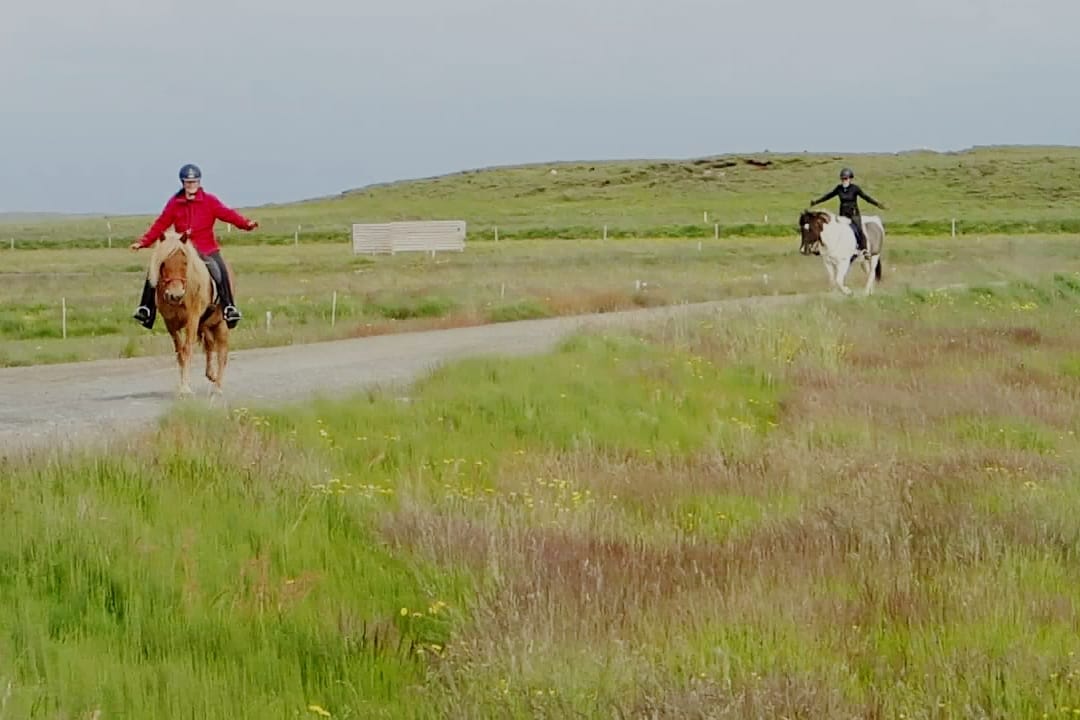Two riders, arms raised, calmly return to the stable with reins on the neck, in trust, complicity, and safety.