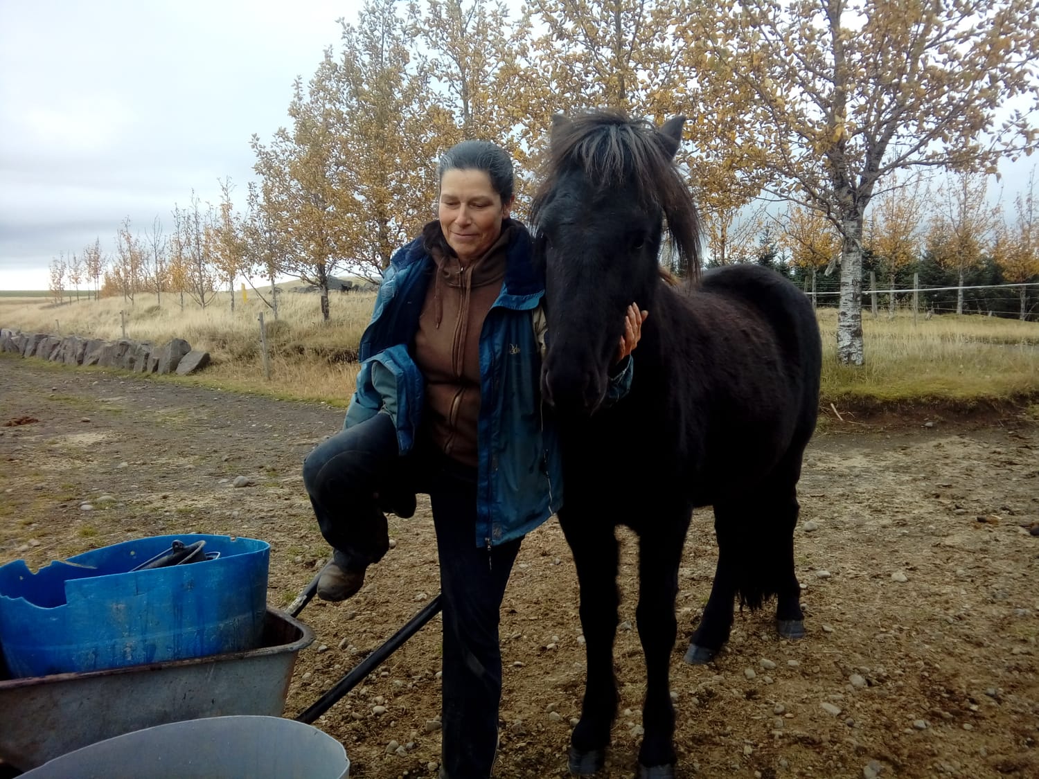 Béatrice is busy with a wheelbarrow, but her partner, a brown filly, takes the opportunity for a gentle cuddle.