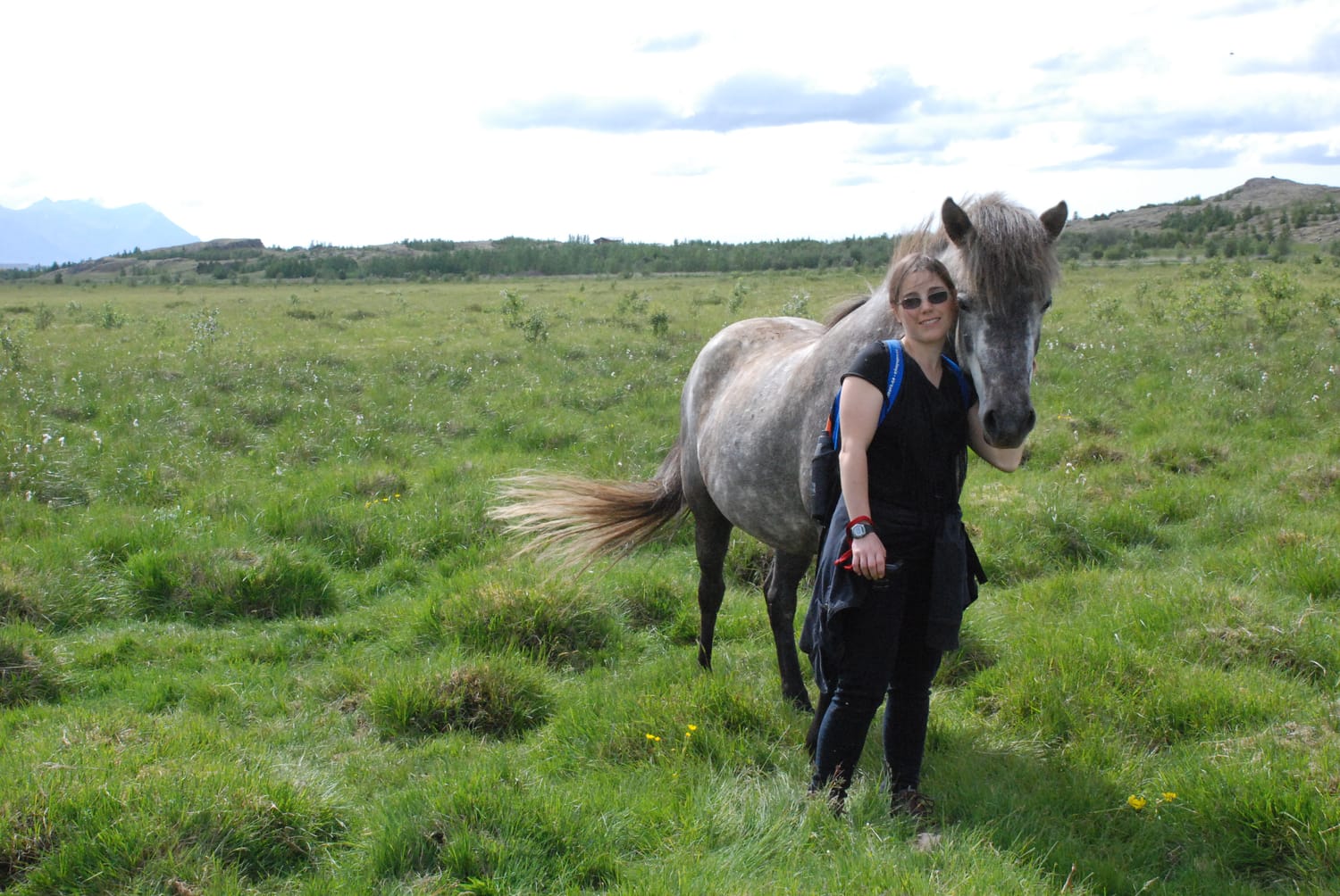 A vast pasture, a girl and a dappled grey mare, cheek to cheek, sharing serenity and happiness.