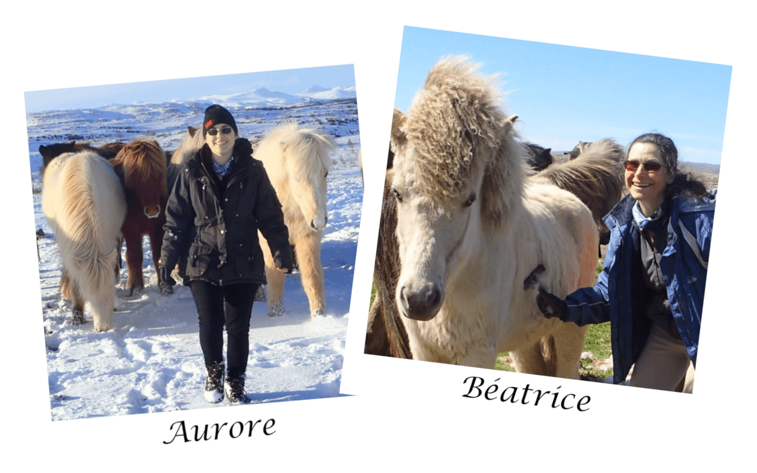 AHHC Team. Equestrian bond: Aurore with an Icelandic horse herd in winter, Béatrice caring for a filly in the summer pasture.