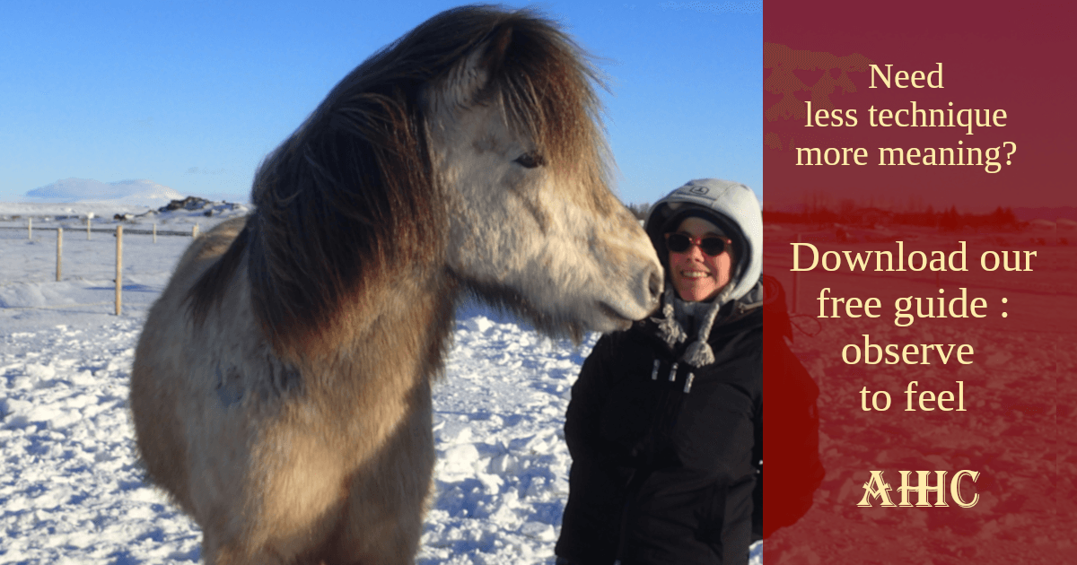 Woman and Icelandic horse at liberty in a snowy landscape. Serene interaction without a halter, illustrating conscious connection and intuitive communication. A smiling human and her horse, symbolizing a fulfilling relationship and benevolent leadership.