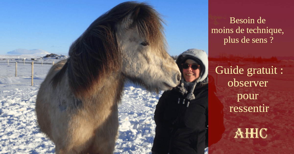 Femme et cheval islandais en liberté dans un paysage de neige. Interaction sereine sans licol illustrant la connexion consciente et la communication intuitive. Une humaine souriante et son cheval complice, symbole d'une relation épanouie et d'un leadership bienveillant. 