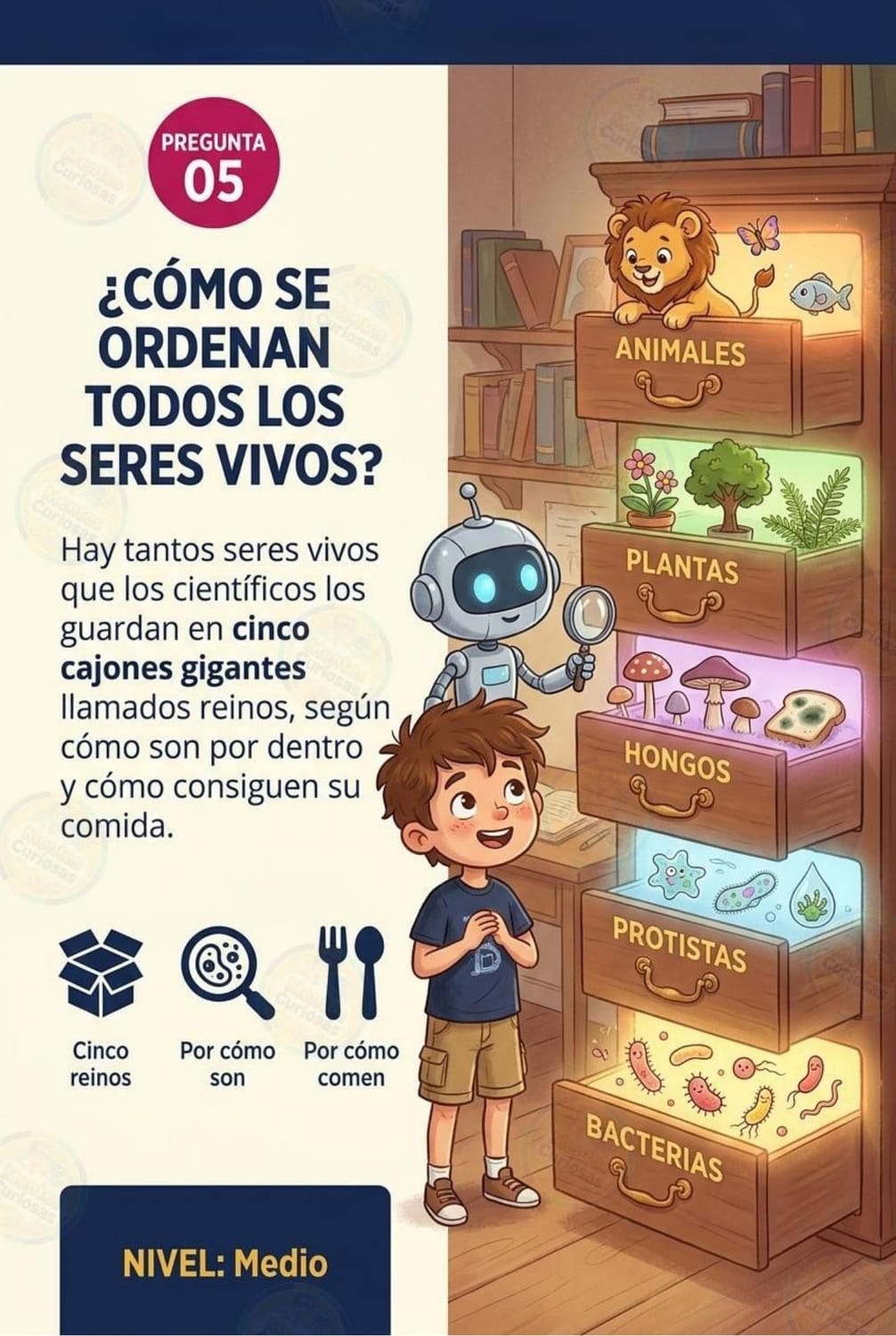 Lecturas y Descubrimientos — Imagen 4 de 5
