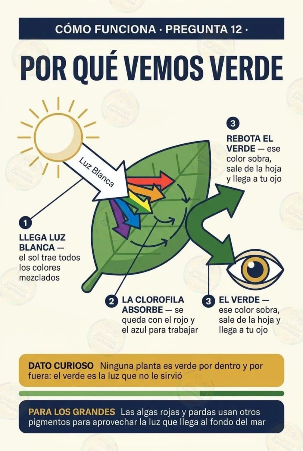 Lecturas y Descubrimientos — Imagen 5 de 5