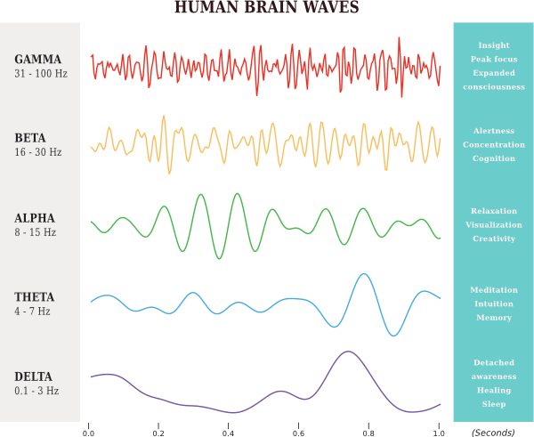 Three program images showing The Brainwaves Method 7 Steps, Online Courses, and Live Immersion Seminars in Egypt, Italy, France