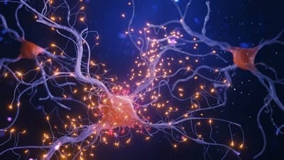 Christian NLP Fundamentals