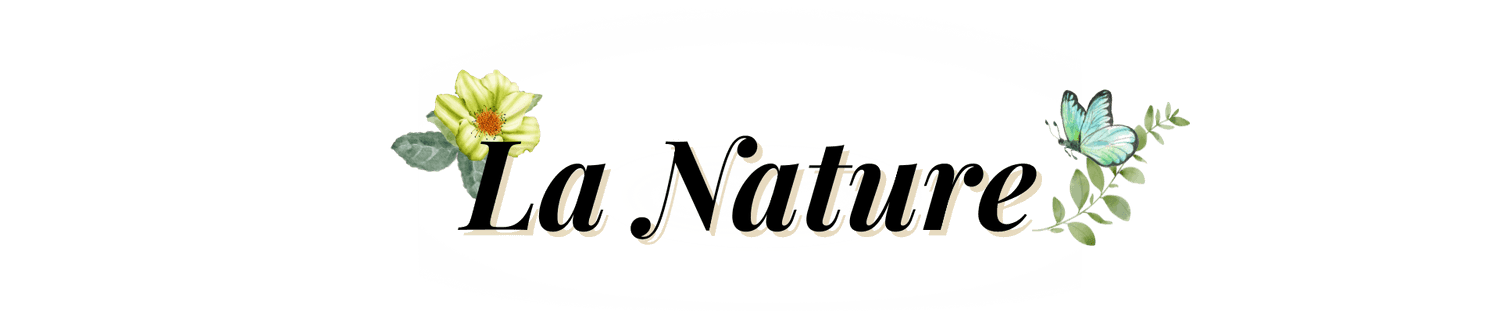 En-tête de l'appartement "La Nature"