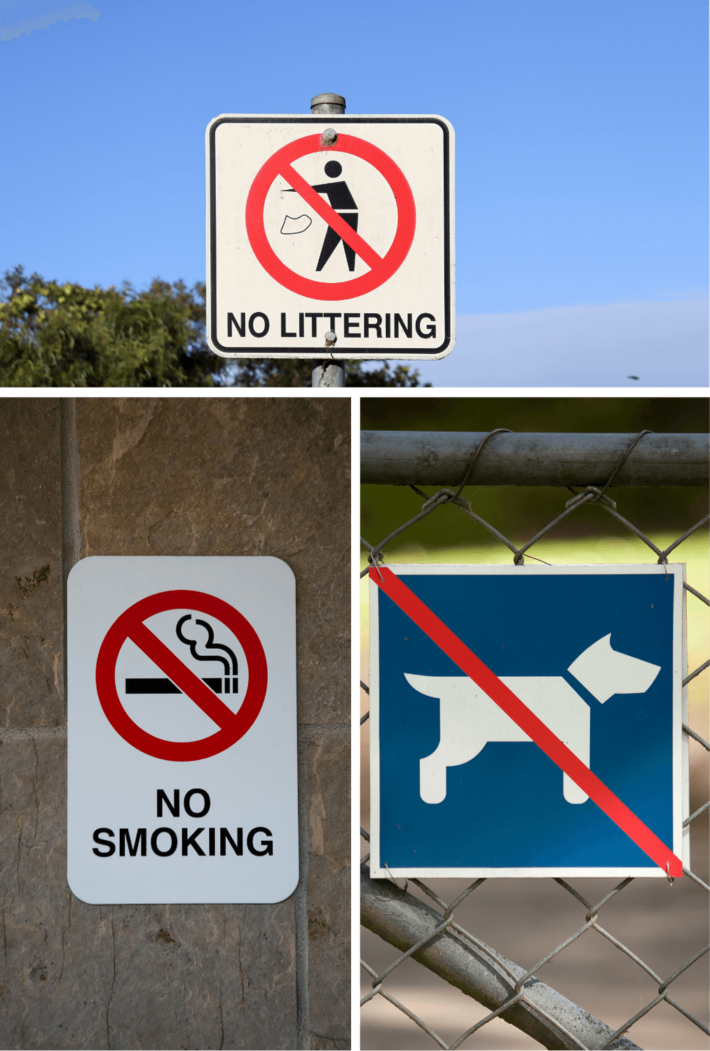 photo 7 règlement intérieur