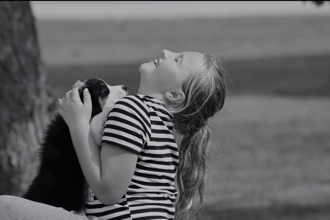 TAGA Ranch Australian Shepherd dogs Coon Rapids Iowa faith based sanctuary