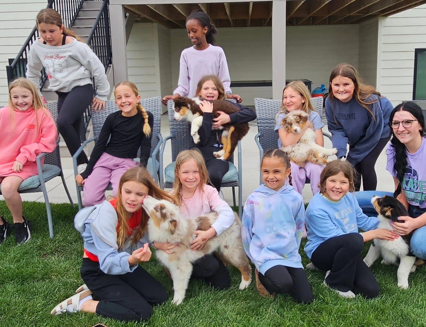 TAGA Ranch Australian Shepherd puppy Iowa holistically raised AKC registered