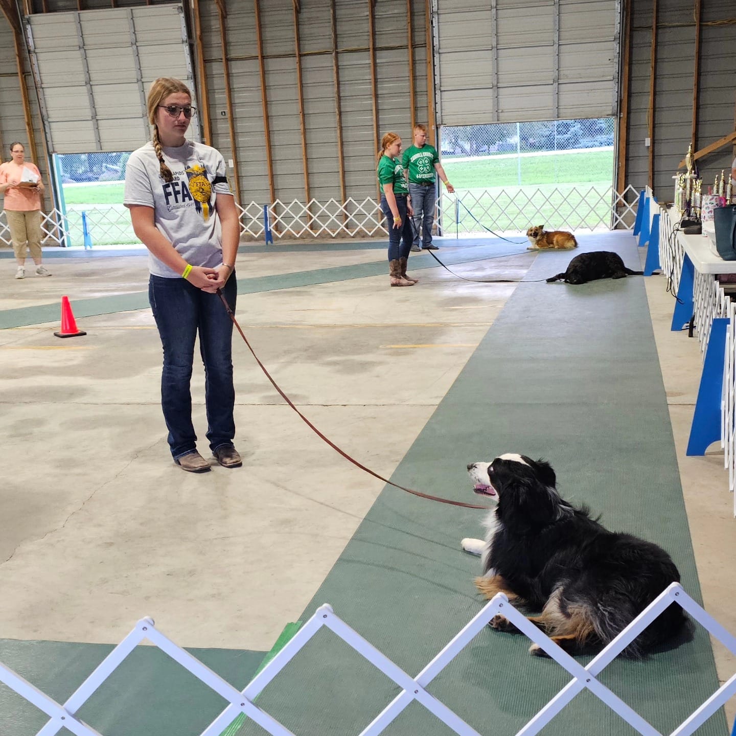 TAGA Ranch Australian Shepherd puppy playing Iowa sanctuary