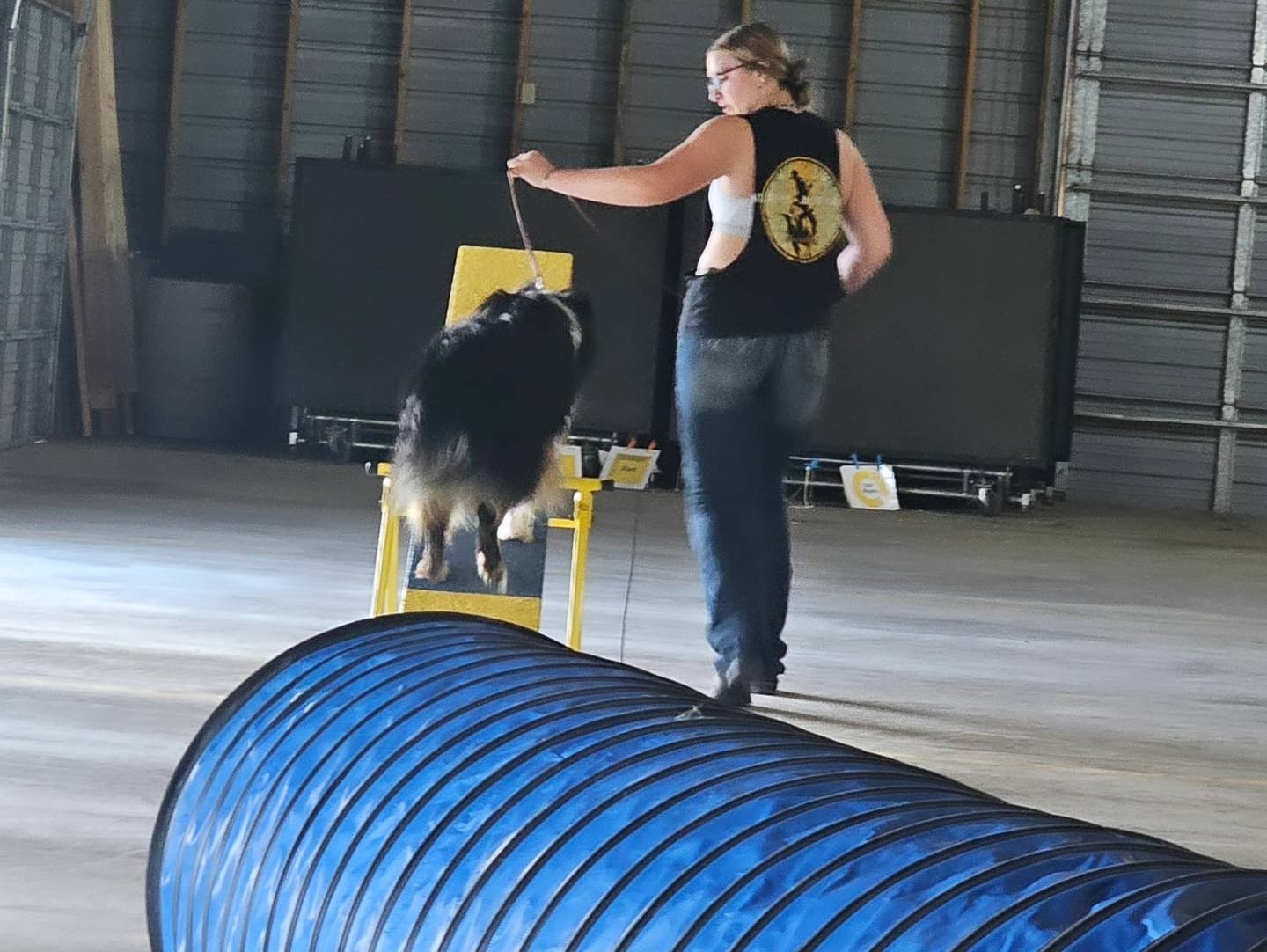 Aryanne Robbins TAGA Ranch junior handler training Australian Shepherd Iowa professional dog training