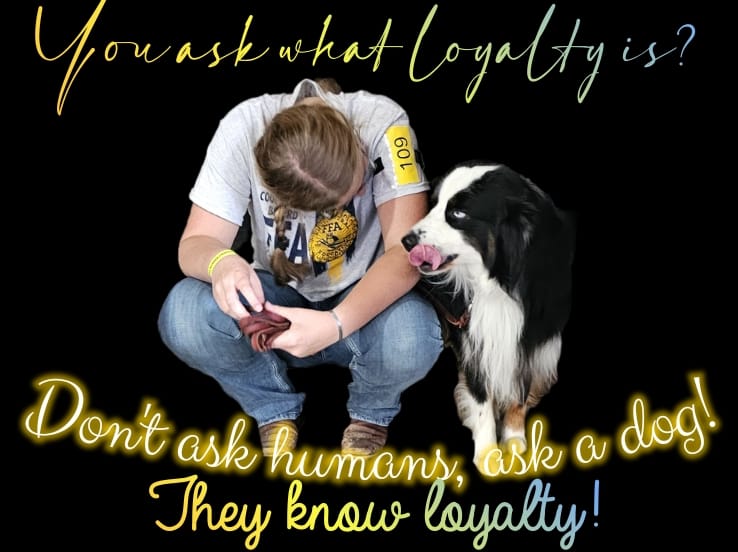 Aryanne Robbins TAGA Ranch Junior Handler Australian Shepherd Iowa FFA