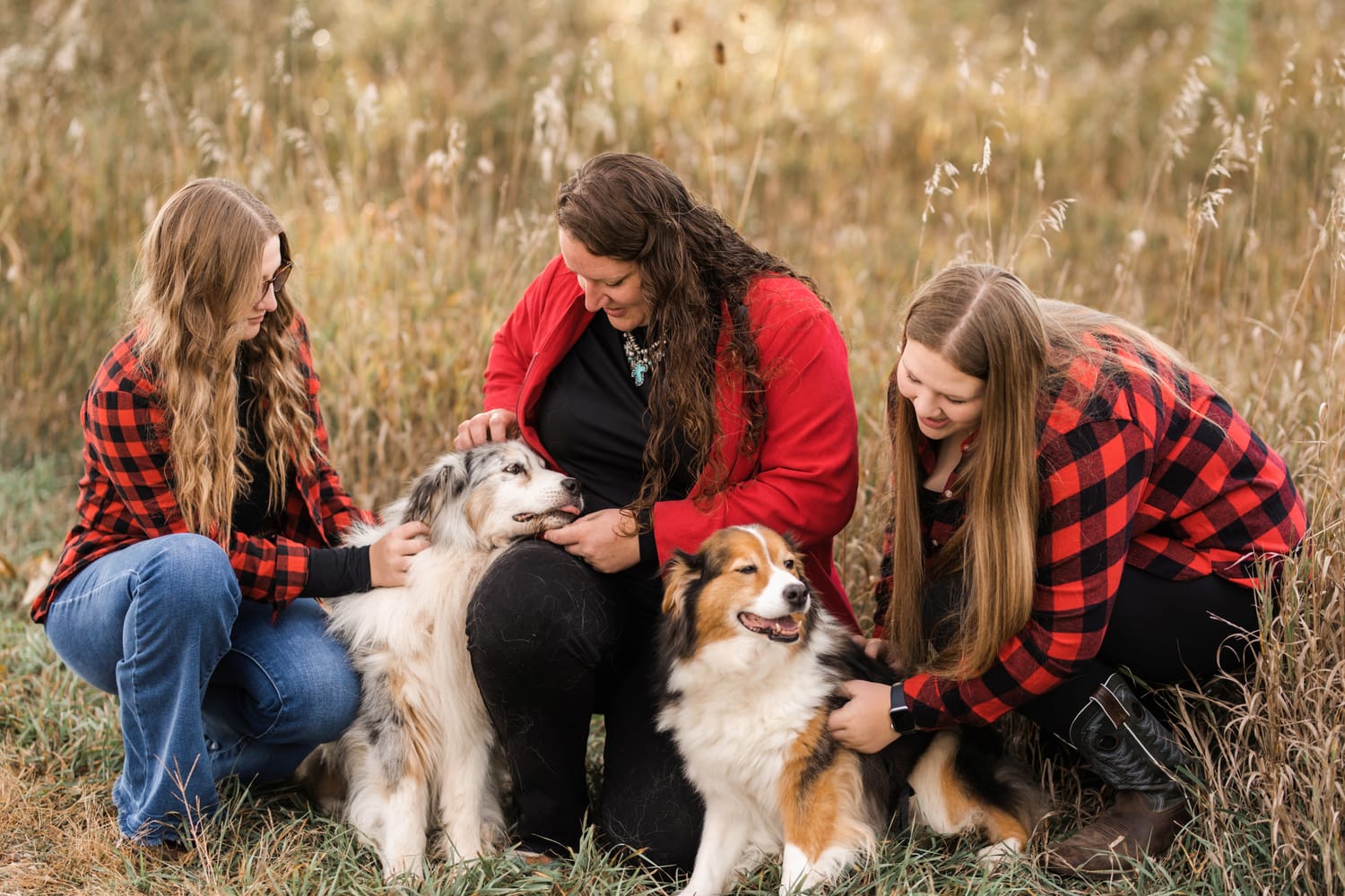 Toni Robbins with daughters Gracyn and Aryanne and Australian Shepherd dogs TAGA Ranch Iowa