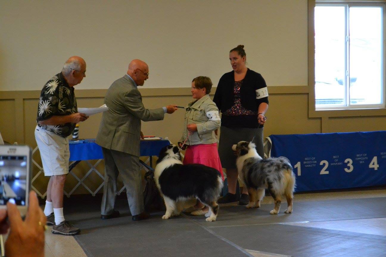 Gracyn Robbins Junior Handler TAGA Ranch Australian Shepherd dog show AKC Iowa