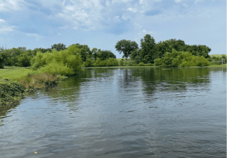 Reclaiming Pond Banks
