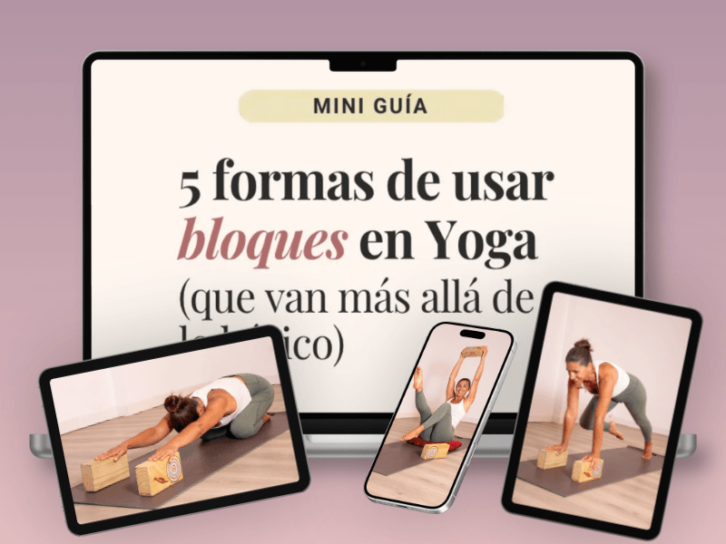 Guia Bloques
