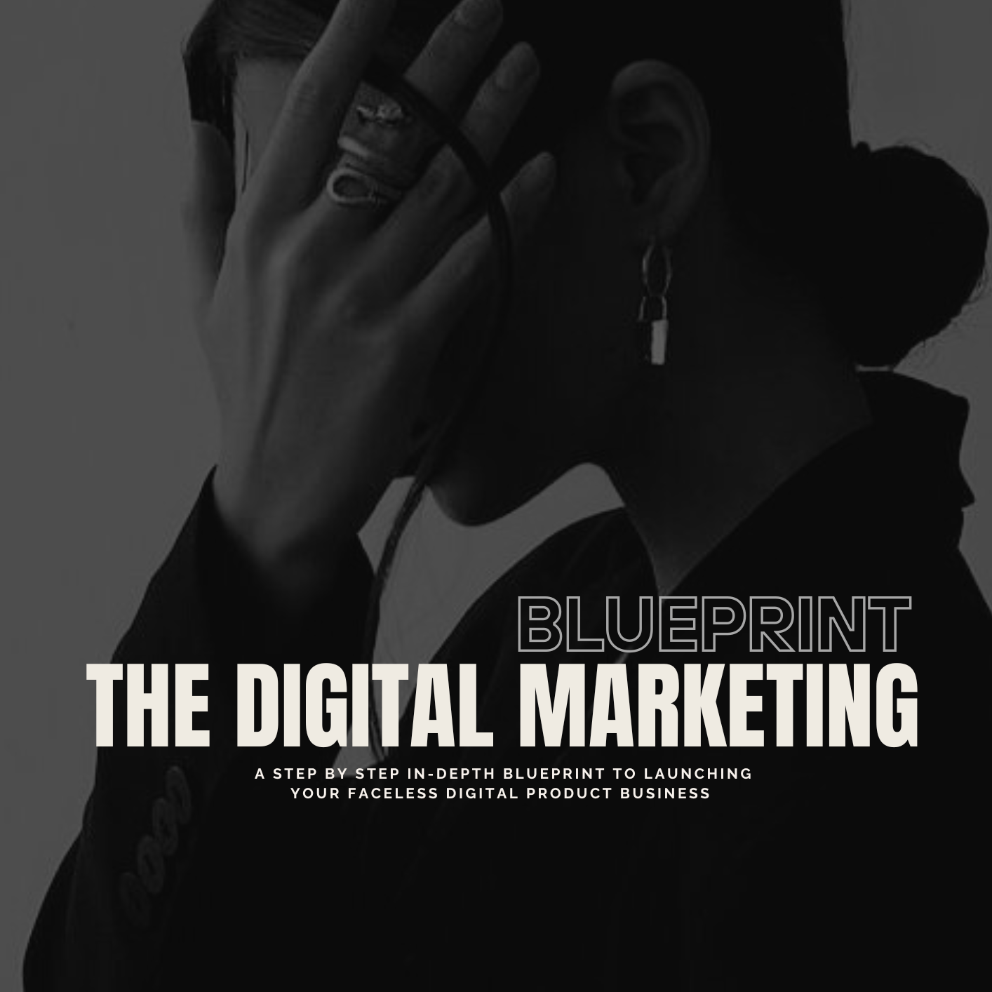 The Digital Marketing Blueprint PLR - $33.33