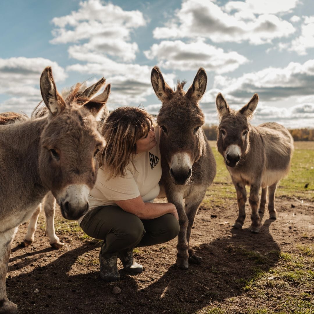 healer hanging out with donkeys
