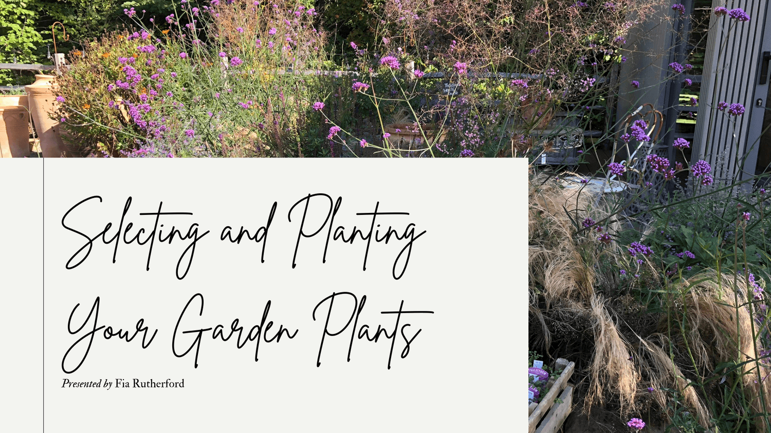 selecting and planting your garden plants