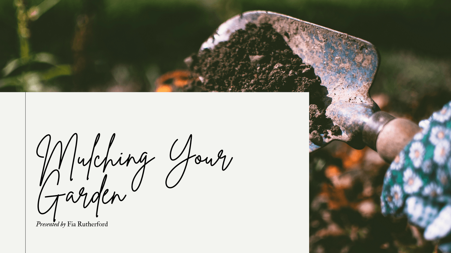 mulching your garden plants