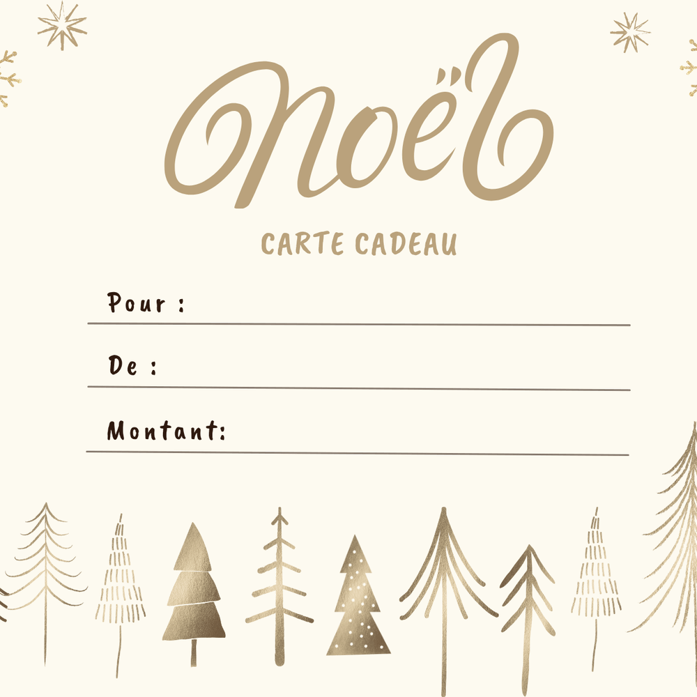 Bon cadeau noël