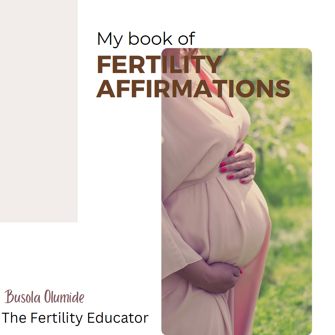 My Book of Fertility Affirmations
