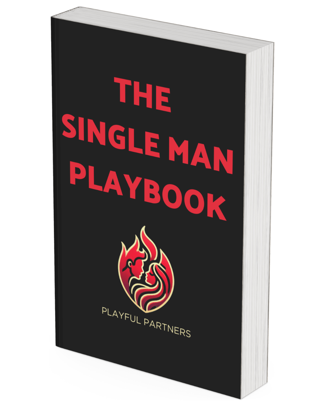 Playful Partners Swinging Course