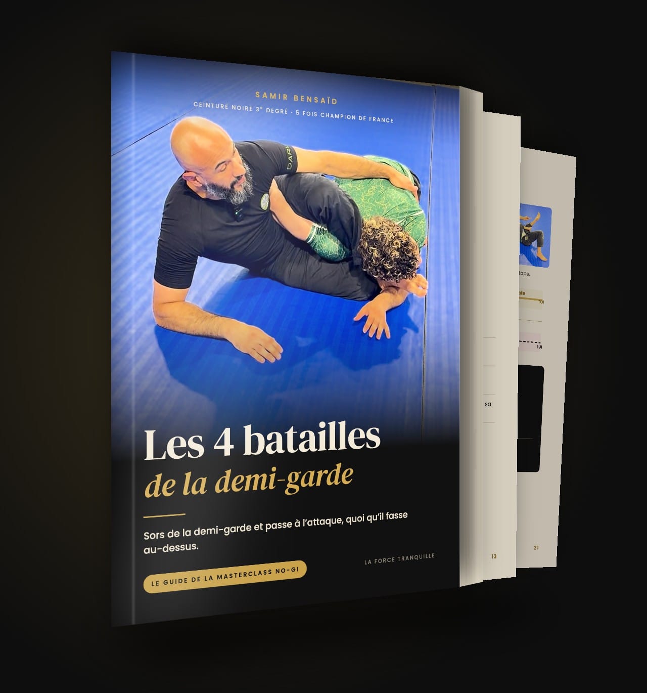 Guide Les 4 batailles de la demi-garde, Samir Bensaïd