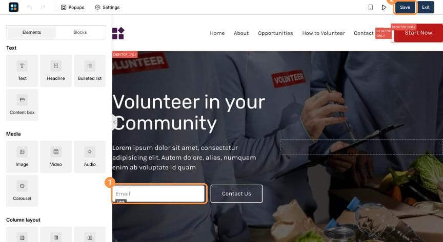 Page editor with the email field and Save button highlighted