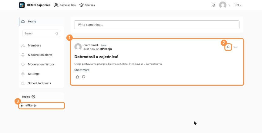 Published post with pin icon and topic