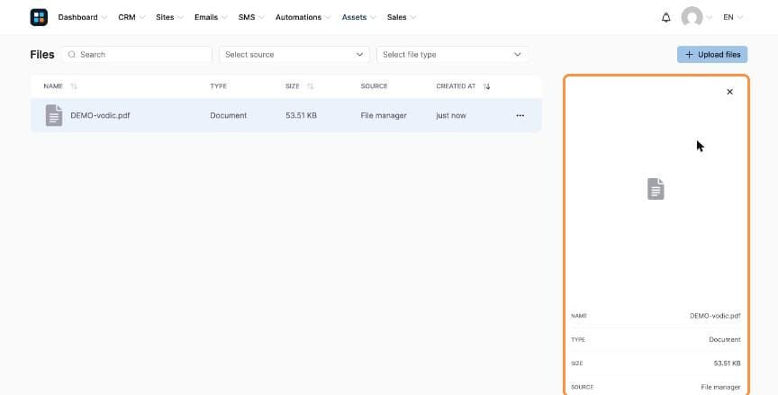 File details panel