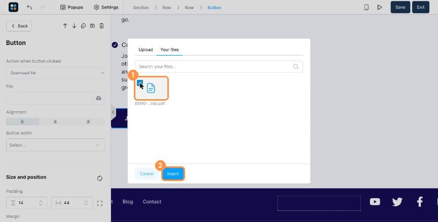 File ticked and Insert button