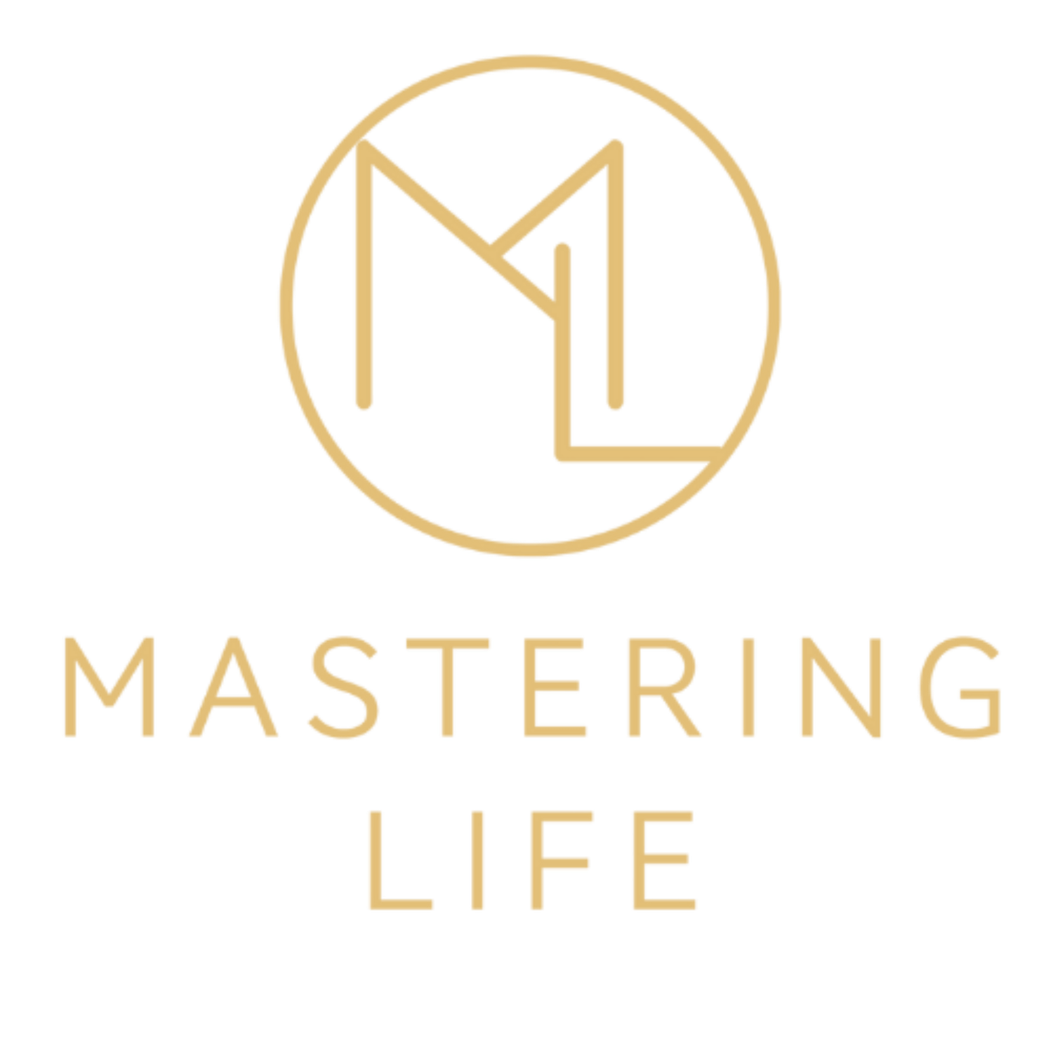 MasteringLIFE