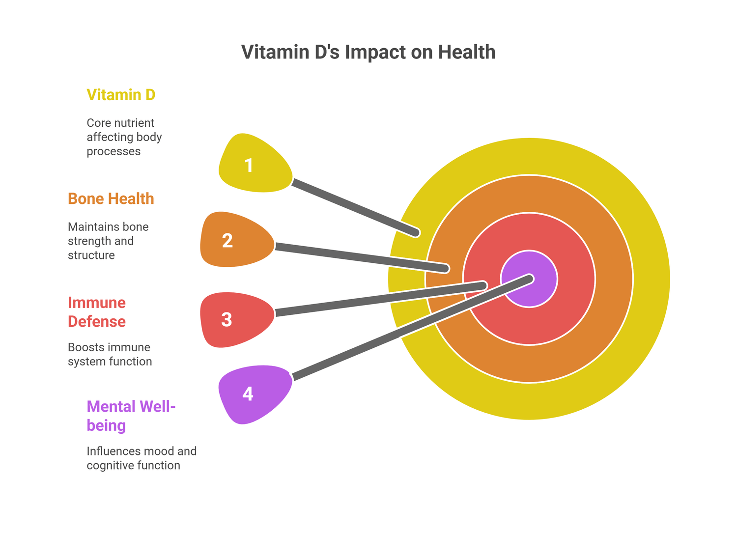  infograph of vitamin D role in body