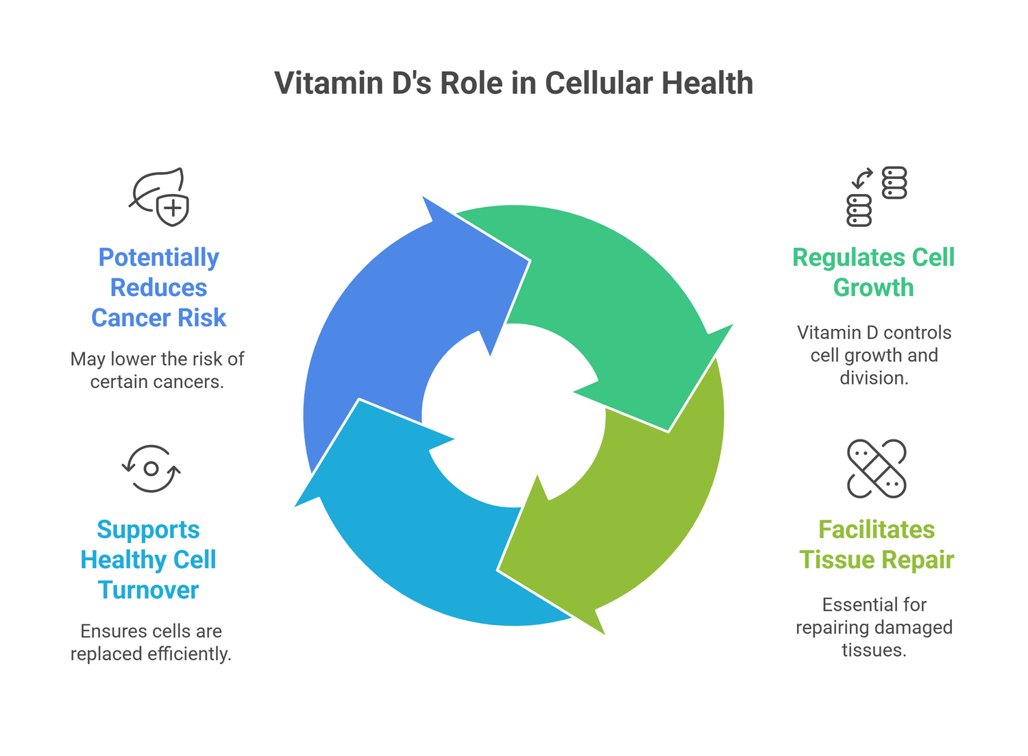 infograph of vitamin D role in cellular health